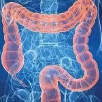 【前沿資訊】KRAS突變促進結(jié)直腸癌肝轉(zhuǎn)移的機制研究