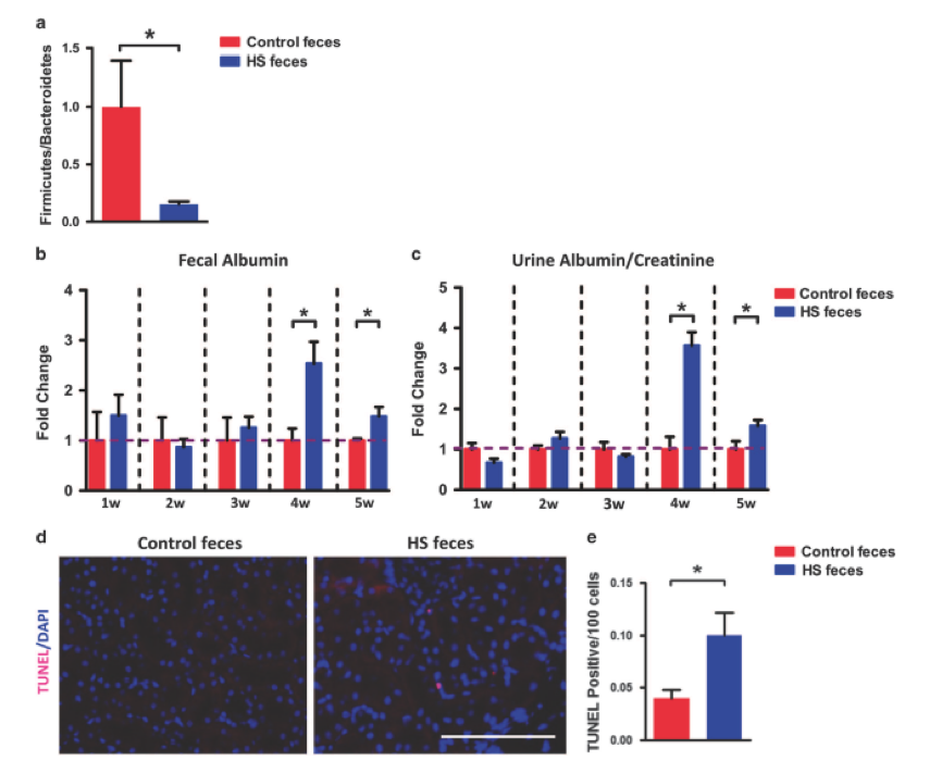 圖7 a. 亞洲棉SC，YZR和YER的選擇性清除分析；b. 全基因組關(guān)聯(lián)分析