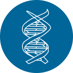 繪制GO、KEGG分類富集圖