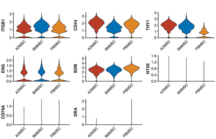圖1從3個供者匹配的組織來源分離的馬間充質(zhì)基質(zhì)細(xì)胞（MSCs）的表征