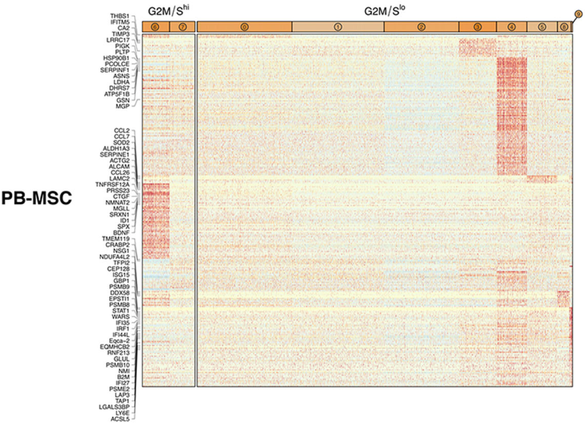 圖5從3個供體匹配組織來源分離的馬間充質(zhì)基質(zhì)細(xì)胞（MSCs）表現(xiàn)出源內(nèi)轉(zhuǎn)錄異質(zhì)性