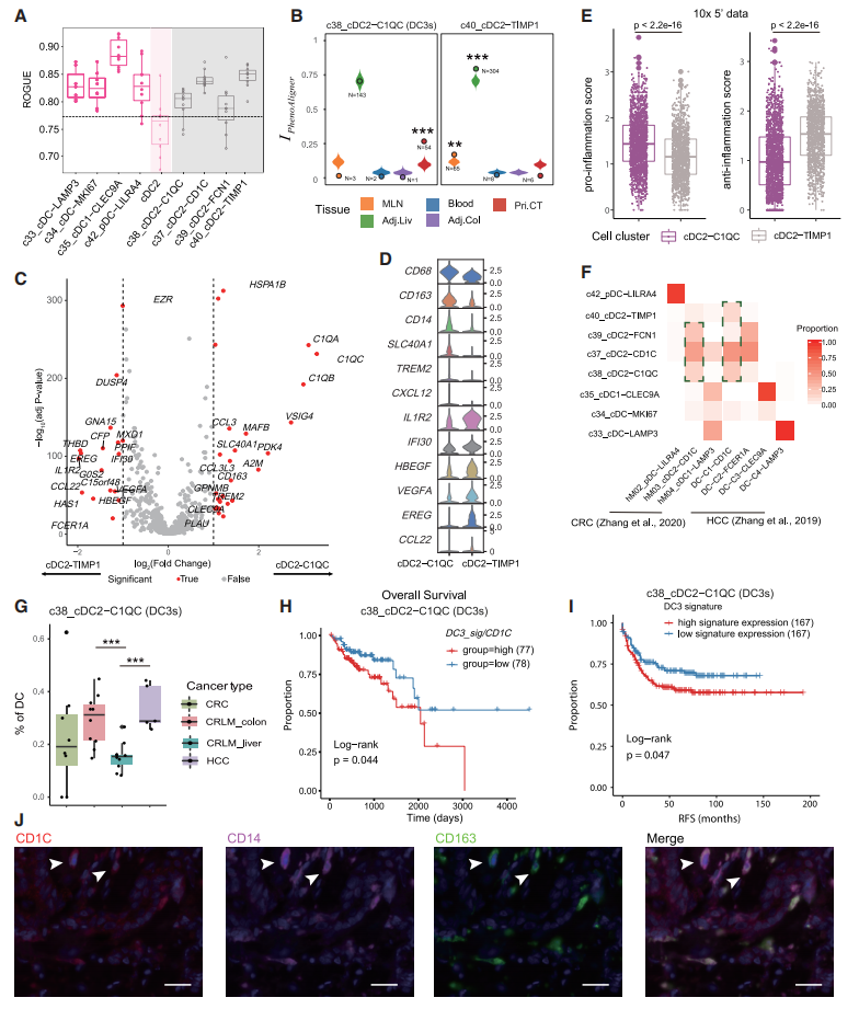 圖6?SPP1+腫瘤相關巨噬細胞的作用