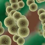 年度盤點(diǎn) | 2022年百邁客微生物勇攀高峰