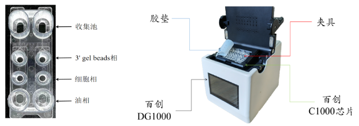 圖1：百創(chuàng)C1000芯片結(jié)構(gòu)（左圖）；百創(chuàng)DG1000微液滴生成儀（右圖）