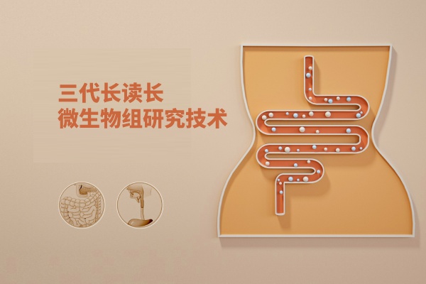 三代長(zhǎng)讀長(zhǎng)微生物組