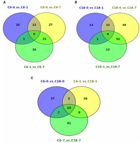 所有時(shí)間點(diǎn)共有的差異代謝物的維恩圖