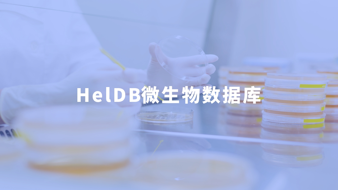 合作單位：河南師范大學