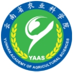 云南省農(nóng)業(yè)科學院